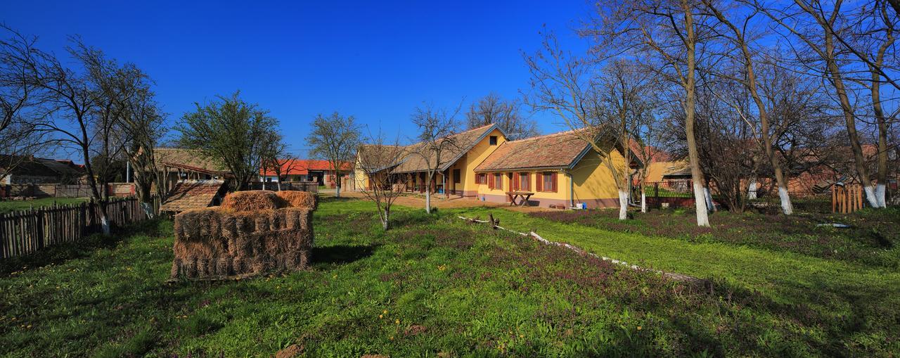 KaranacSobe Kod Baje - Baranjska Kuca住宿加早餐旅馆 外观 照片